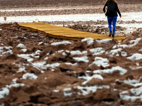 Atacama tours naar Baltinache, wandelaar op een houten vlonderpad over een ruwe zoutkorstvlakte