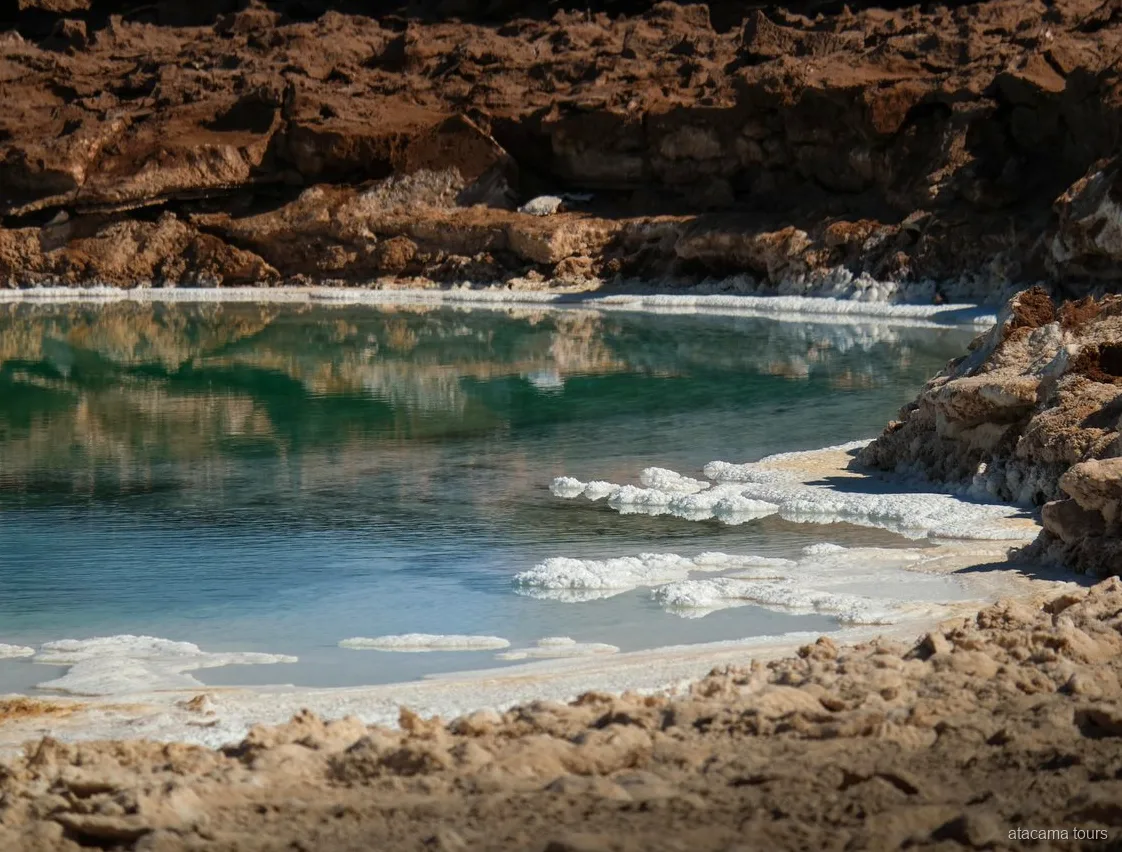 Excursions dans l'Atacama à Baltinache, lagune bleu vert bordée de croûte de sel et de roches brunes