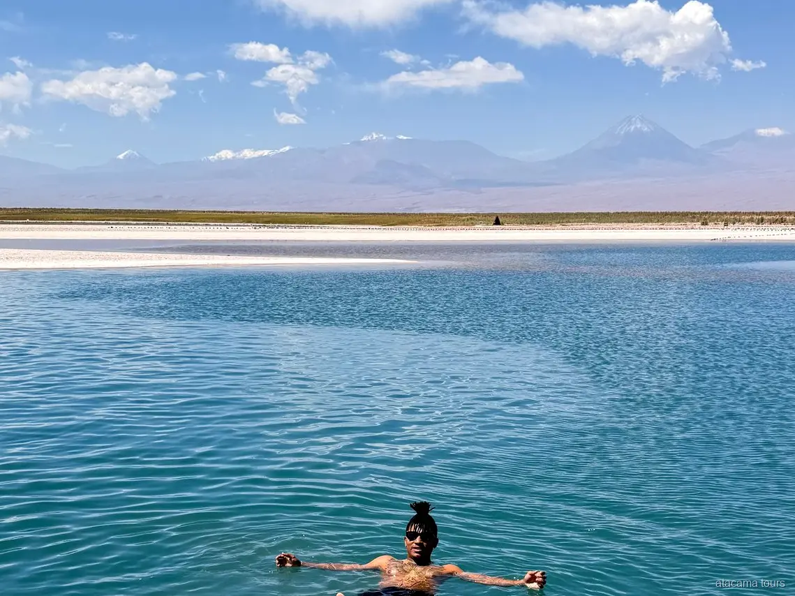 Atacama tours naar Laguna Cejar, zwemmer drijft in blauw water met besneeuwde vulkanen erachter