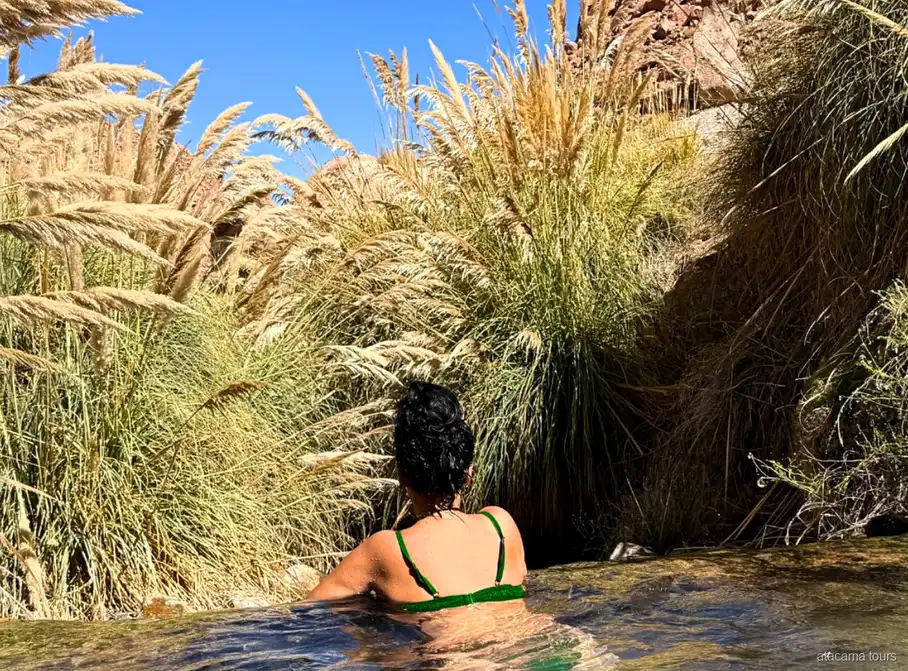 Atacama tours naar Puritama warmwaterbronnen, bezoeker ontspant in een warm bad tussen hoog pampagras