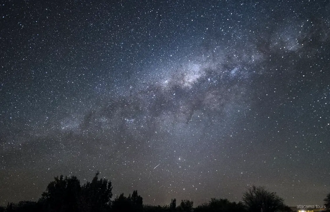 Tours en Atacama de noche, la Vía Láctea sobre siluetas de árboles con una estrella fugaz