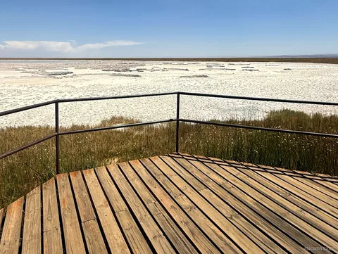 Tours en Atacama a Laguna Cejar, mirador de madera con baranda frente al salar blanco