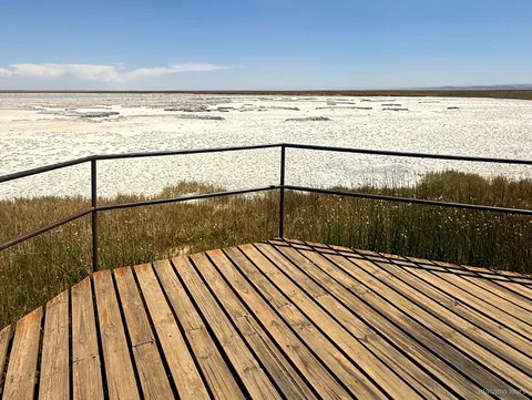 Passeios no Atacama à Laguna Cejar, mirante de madeira com corrimão diante do salar branco