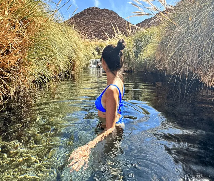 Traslado a las Termas de Puritama, pozas termales en un cañón verde del desierto