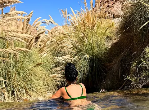 Tours en Atacama a las Termas de Puritama, bañista que se relaja en una poza rodeada de altas cortaderas