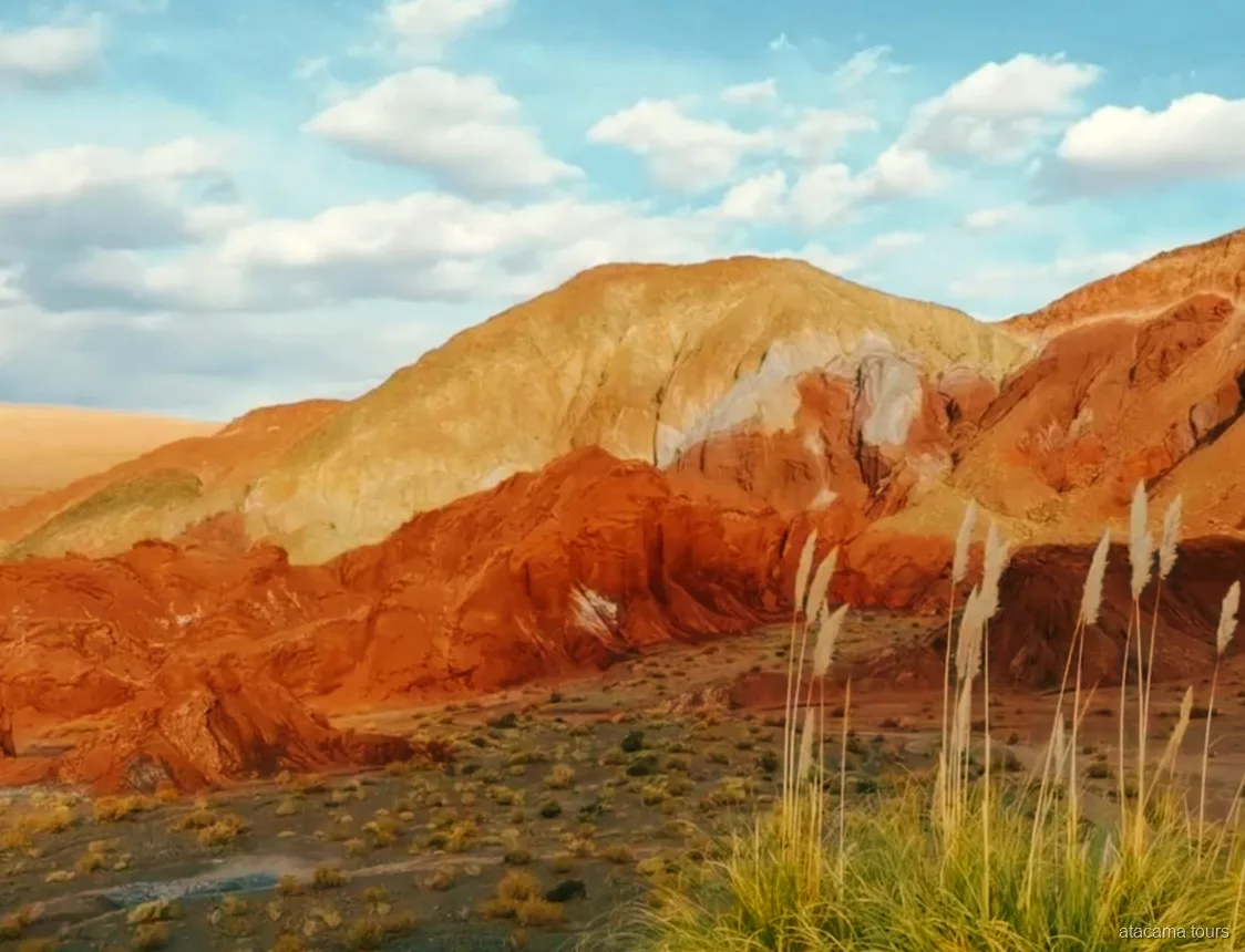 Atacama tours in de Valle del Arcoiris, oranje, okerkleurige en witte heuvels achter pluimen van pampagras